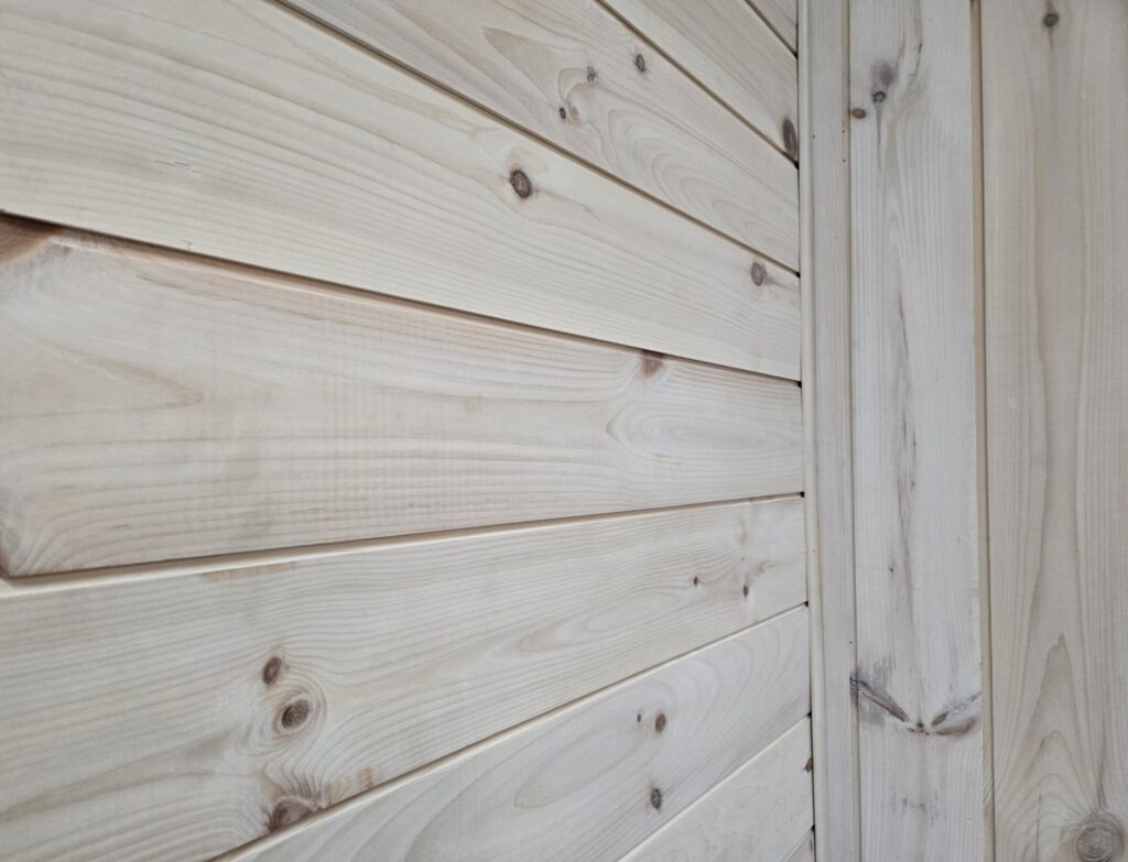 Scandinave_1
